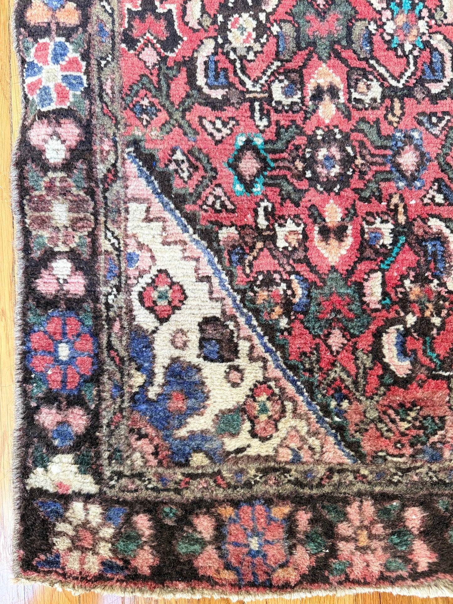 1042 | Wild Antique Runner with Raspberry Field, Inky Border & Powdery Floral Geometry | 3.2 x 9.7