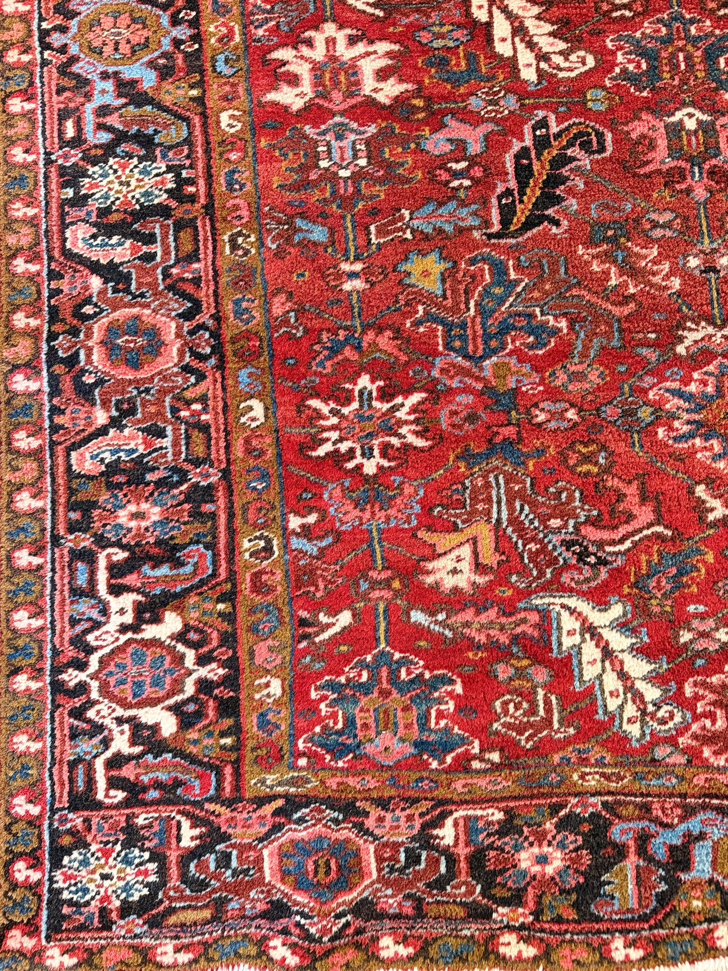 1060 | Unapologetic Antique Heriz Rug with Brick Red Field & Inky Border | 6.9 x 9.1