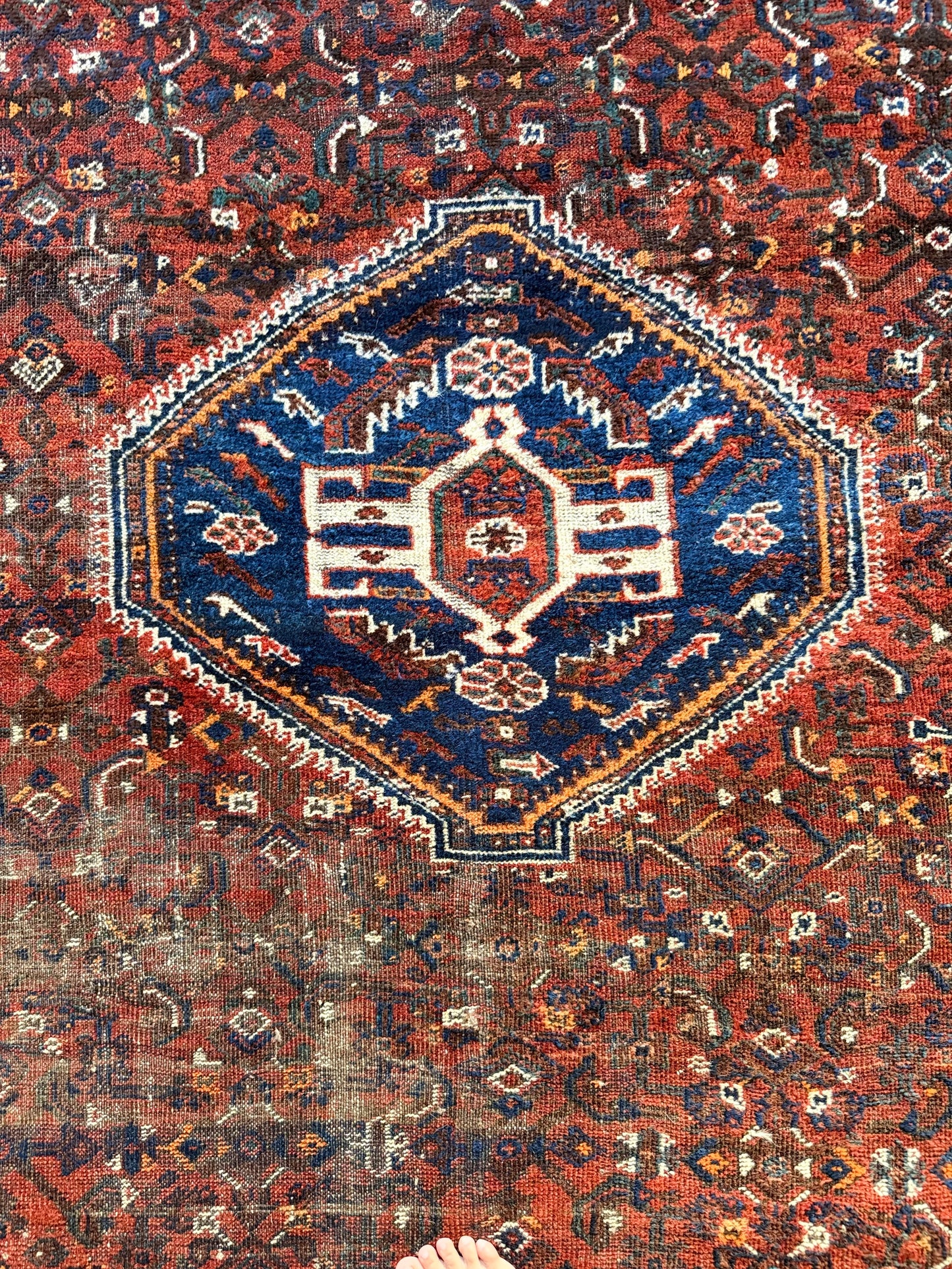 1063 | Smokeshow Antique Qashqai Rug with Burnt Wine Field & Midnight Border | 7.2 x 10.4