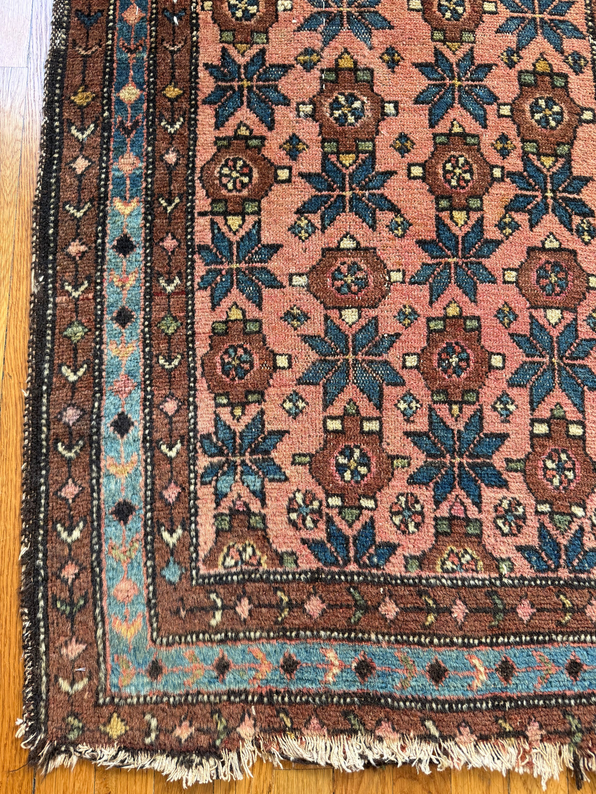 1067 | FORBIDDEN FRUIT Antique Persian Malayer Rug with Salmon Field & Electric Blue Border | Circa 1910–1930 | 2.7 × 4.3