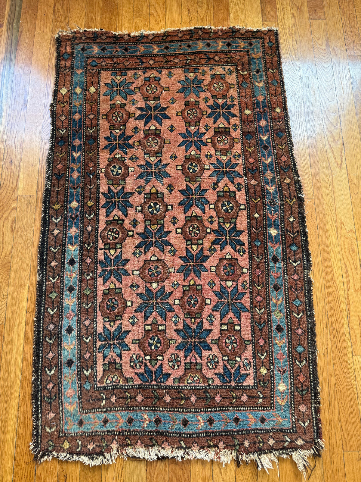 1067 | FORBIDDEN FRUIT Antique Persian Malayer Rug with Salmon Field & Electric Blue Border | Circa 1910–1930 | 2.7 × 4.3