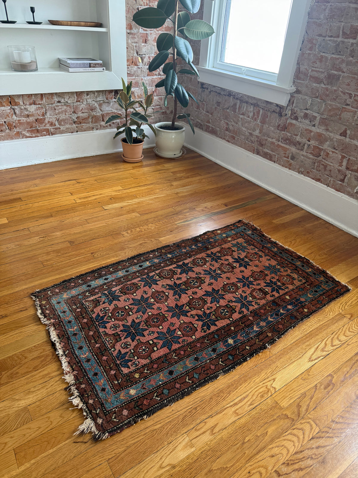 1067 | FORBIDDEN FRUIT Antique Persian Malayer Rug with Salmon Field & Electric Blue Border | Circa 1910–1930 | 2.7 × 4.3